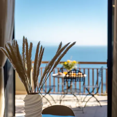 Dream View